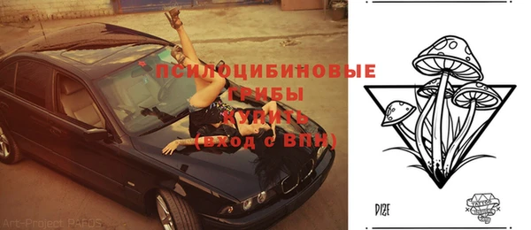 ECSTASY Арсеньев