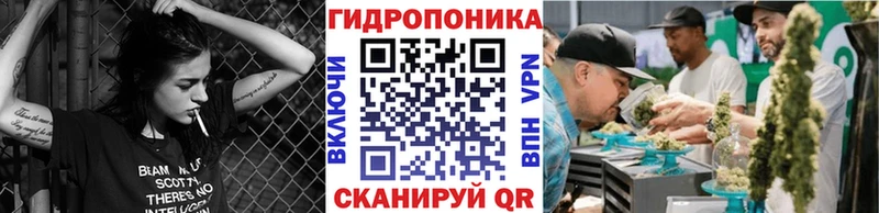 Канабис ГИДРОПОН  Аркадак 